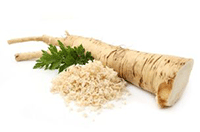 horseradish